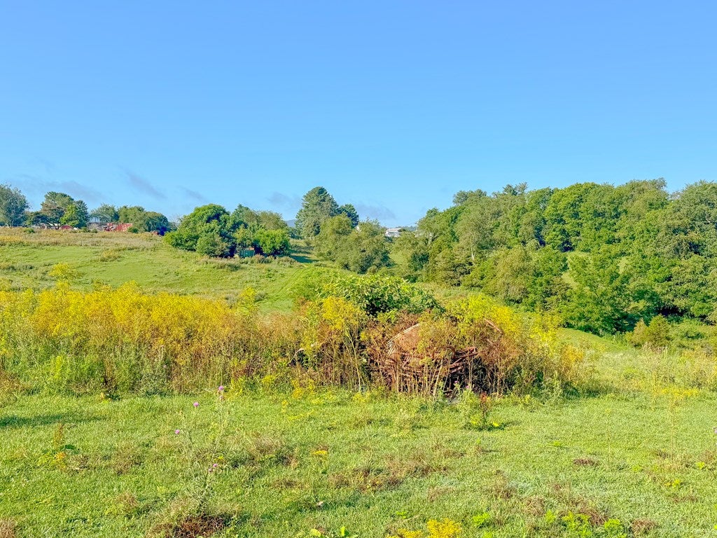 1620 Austinville Road Max Meadows, VA 24360 - Photo 5 of 33 Gallery Image 5