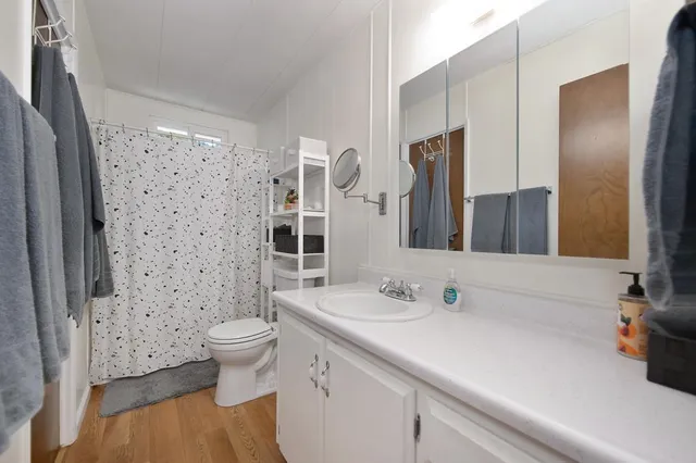 a bathroom with a sink a toilet and shower