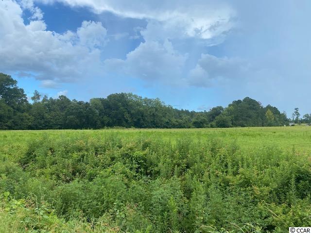 Lot 1 Antioch Road Conway, SC 29527 - Photo 1 of 15 Gallery Image 1