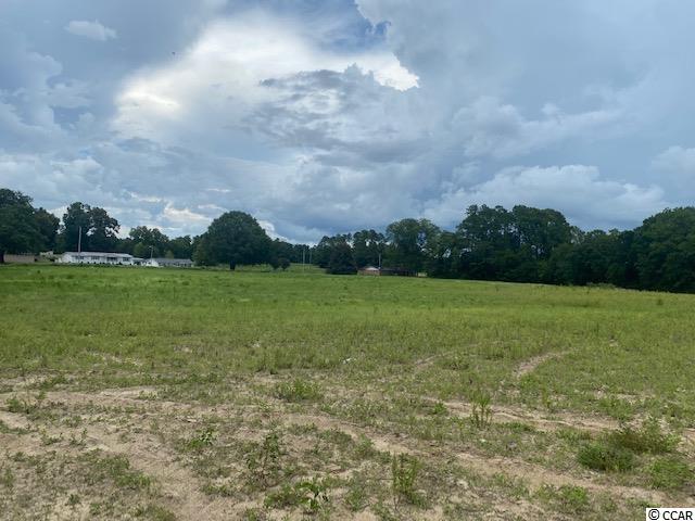 Lot 1 Antioch Road Conway, SC 29527 - Photo 11 of 15 Gallery Image 11