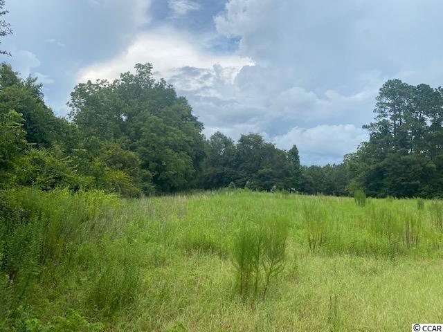 Lot 1 Antioch Road Conway, SC 29527 - Photo 14 of 15 Gallery Image 14