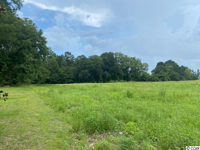 Lot 1 Antioch Road Conway, SC 29527 - Photo 3 of 15 Gallery Image 3