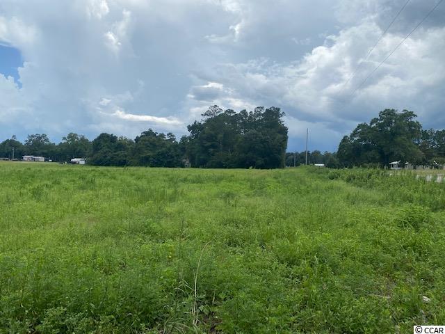 Lot 1 Antioch Road Conway, SC 29527 - Photo 4 of 15 Gallery Image 4