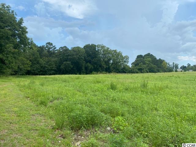 Lot 1 Antioch Road Conway, SC 29527 - Photo 5 of 15 Gallery Image 5