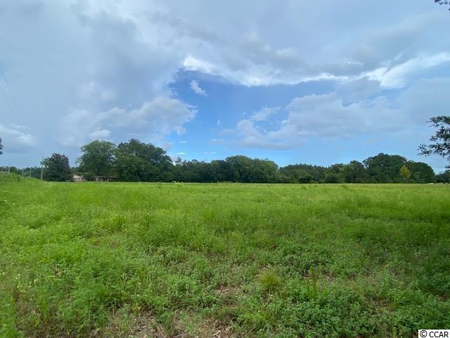 Lot 1 Antioch Road Conway, SC 29527 - Photo 8 of 15 Gallery Image 8