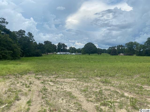 Lot 1 Antioch Road Conway, SC 29527 - Photo 10 of 15 Gallery Image 10