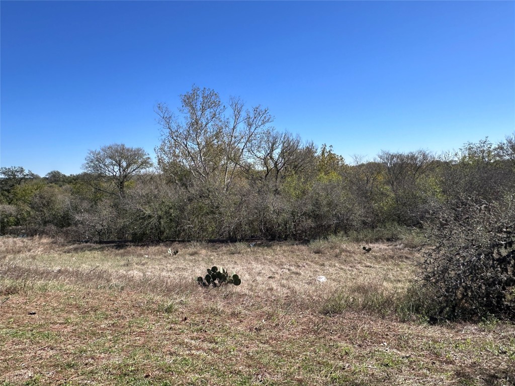 180 Griesenbeck Ranch Road Bastrop, TX 78602 - Photo 17 of 19 a view of a dry yard with trees