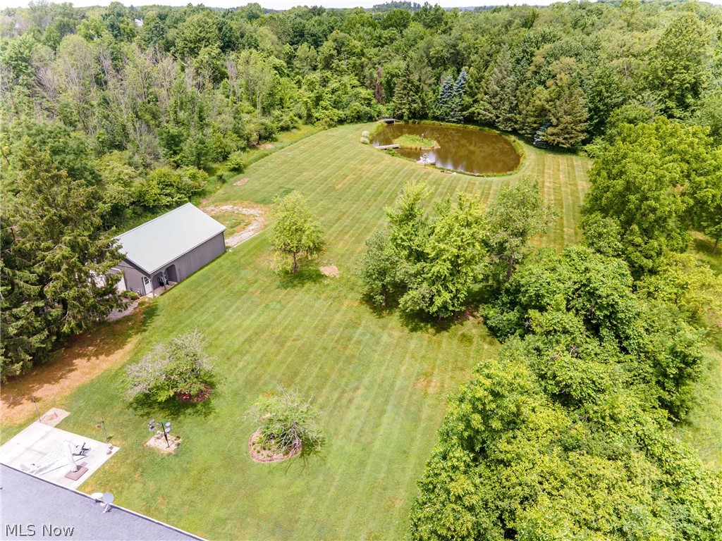 11292 Butternut Road Chardon, OH 44024 - Photo 43 of 49 Expansive green lawn with mature trees and a tranquil pond featuring a central island