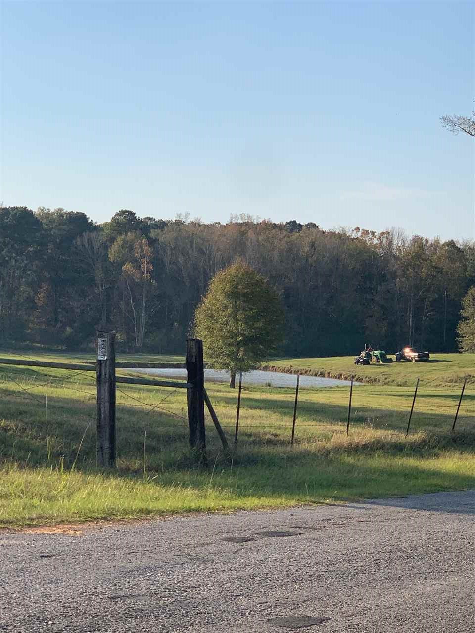 736 Mill Road Lena, MS 39094 - Photo 8 of 8 Photo 8