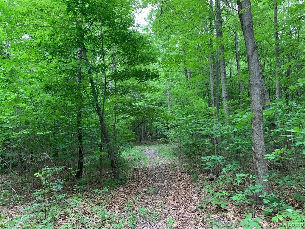 1395 Hadley Road Lapeer, MI 48446 - Photo 11 of 45
