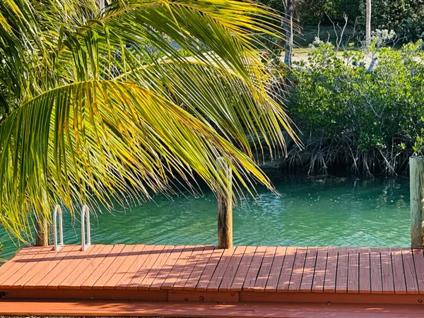 a view of backyard with green space