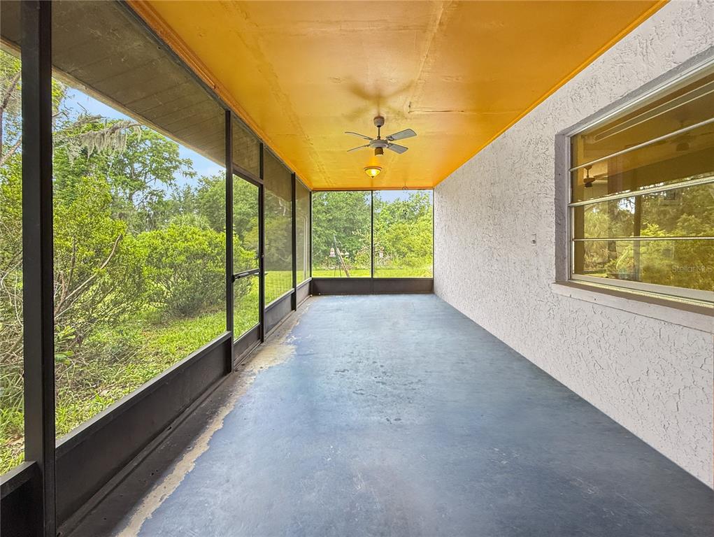 6904 Williams Road Seffner, FL 33584 - Photo 16 of 19