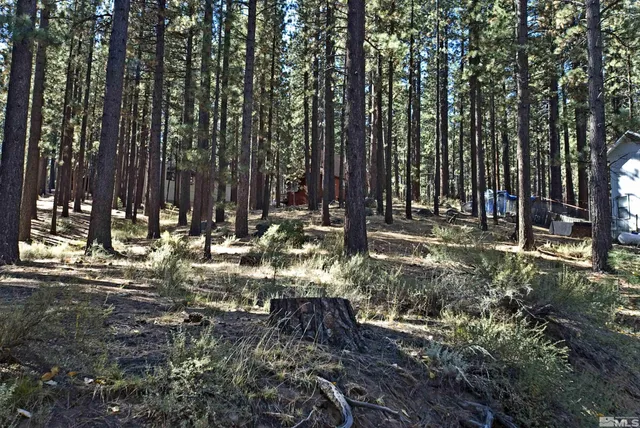 a view of outdoor space with trees