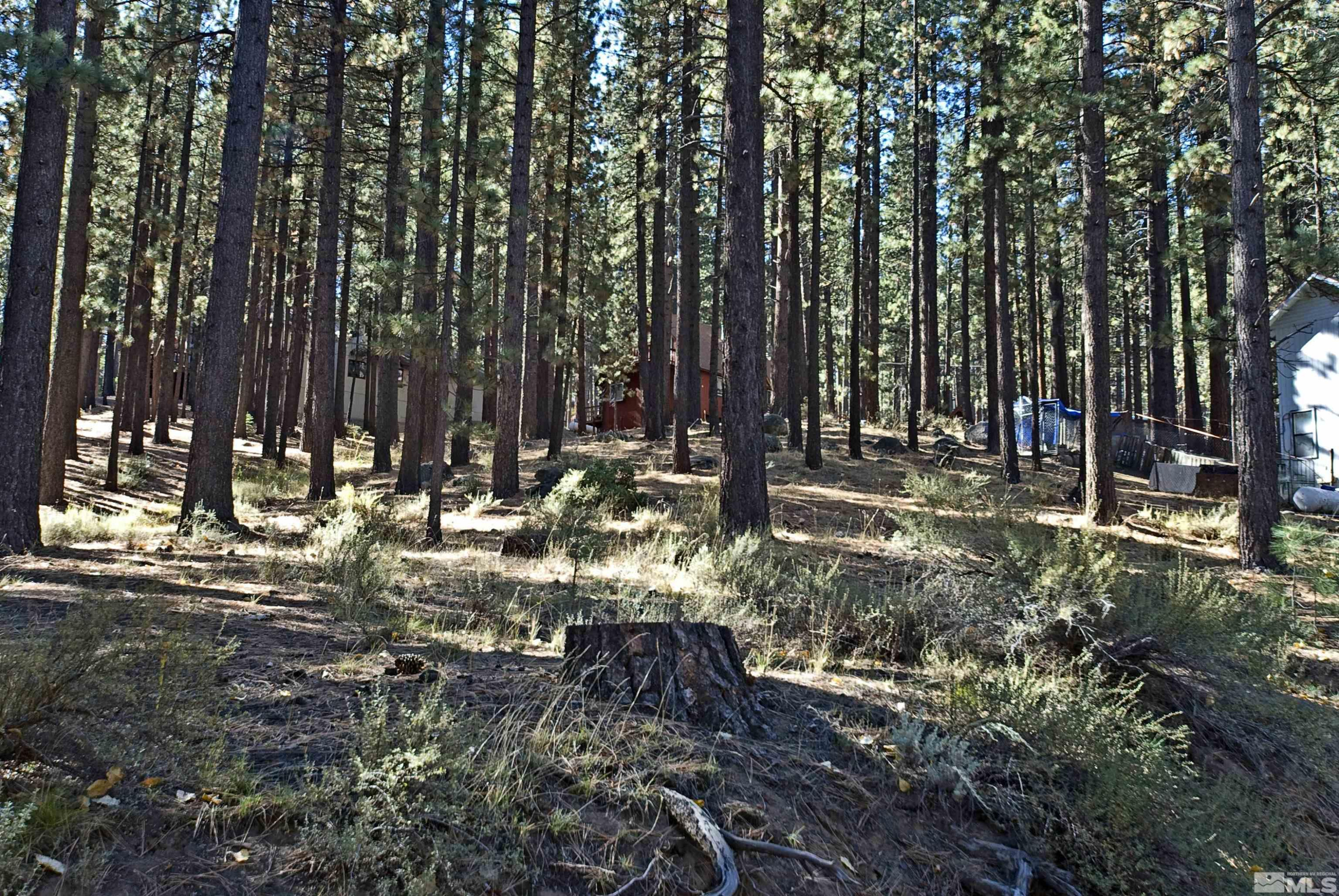 a view of outdoor space with trees