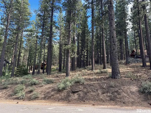 a view of outdoor space with trees