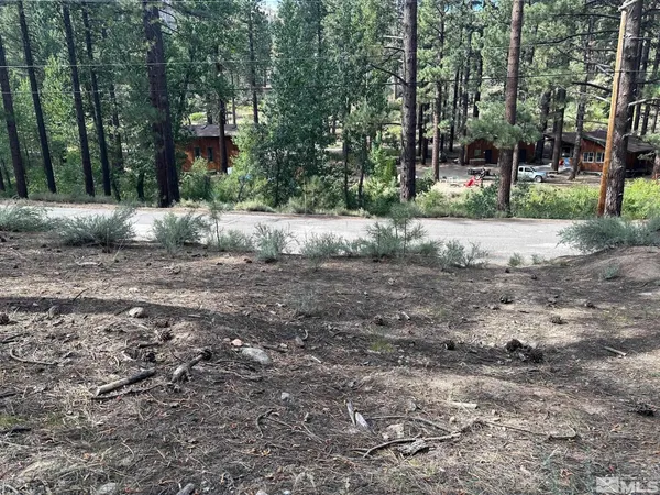a view of road with trees