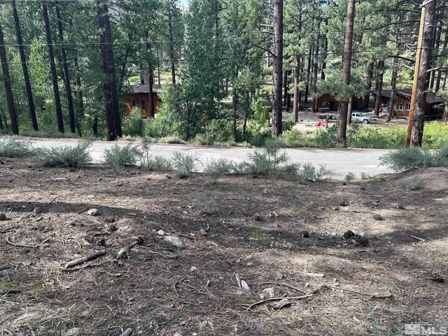 a view of road with trees