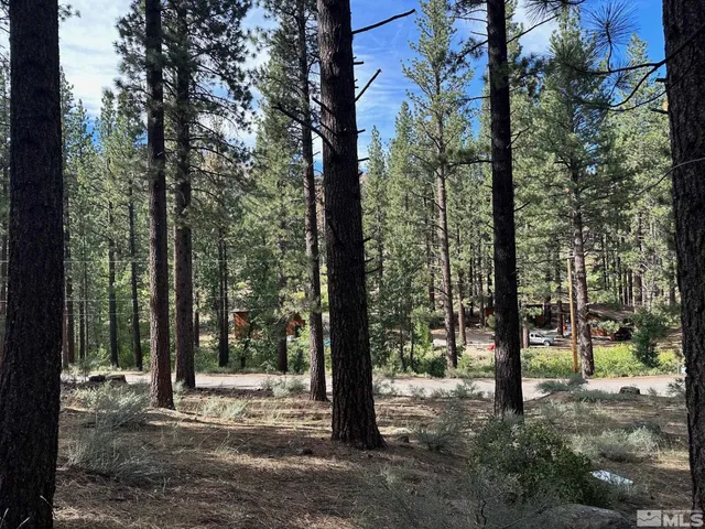 a view of a road with trees in the background