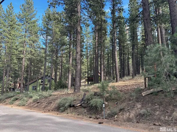 a view of outdoor space with trees