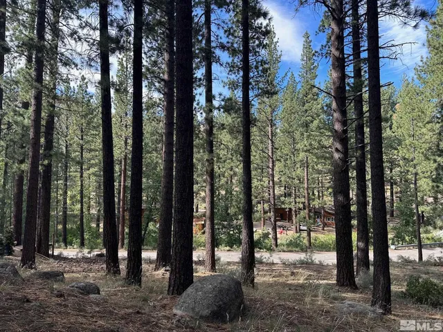 a view of outdoor space with lots of trees