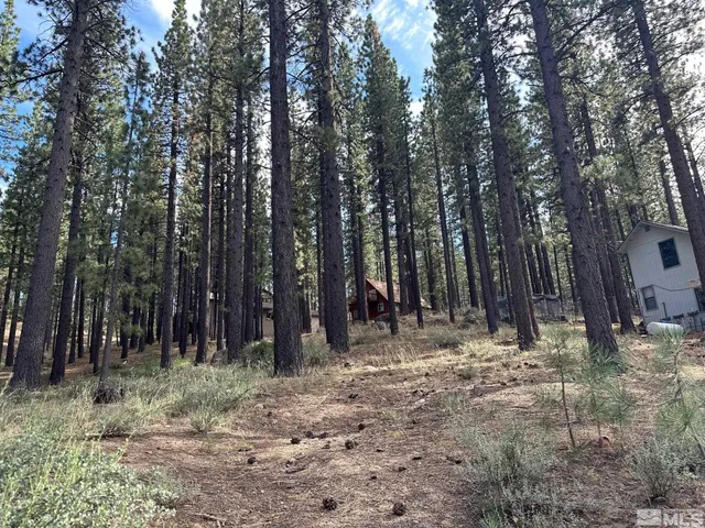 a view of outdoor space and trees