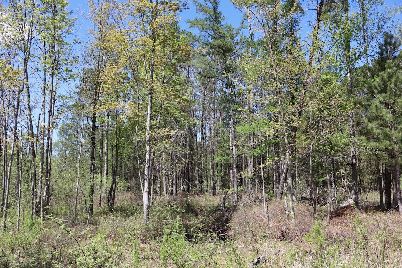 La Grant Road Alger, MI 48610 - Photo 34 of 46 028