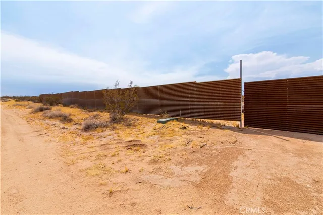 a view of a tree in the backyard