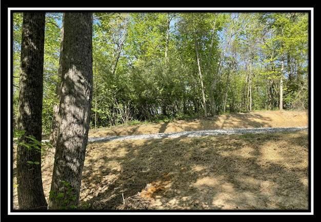 0 Shaver Road, Unit TRACT 2 Blue Rock, OH 43720 - Photo 29 of 32 image029