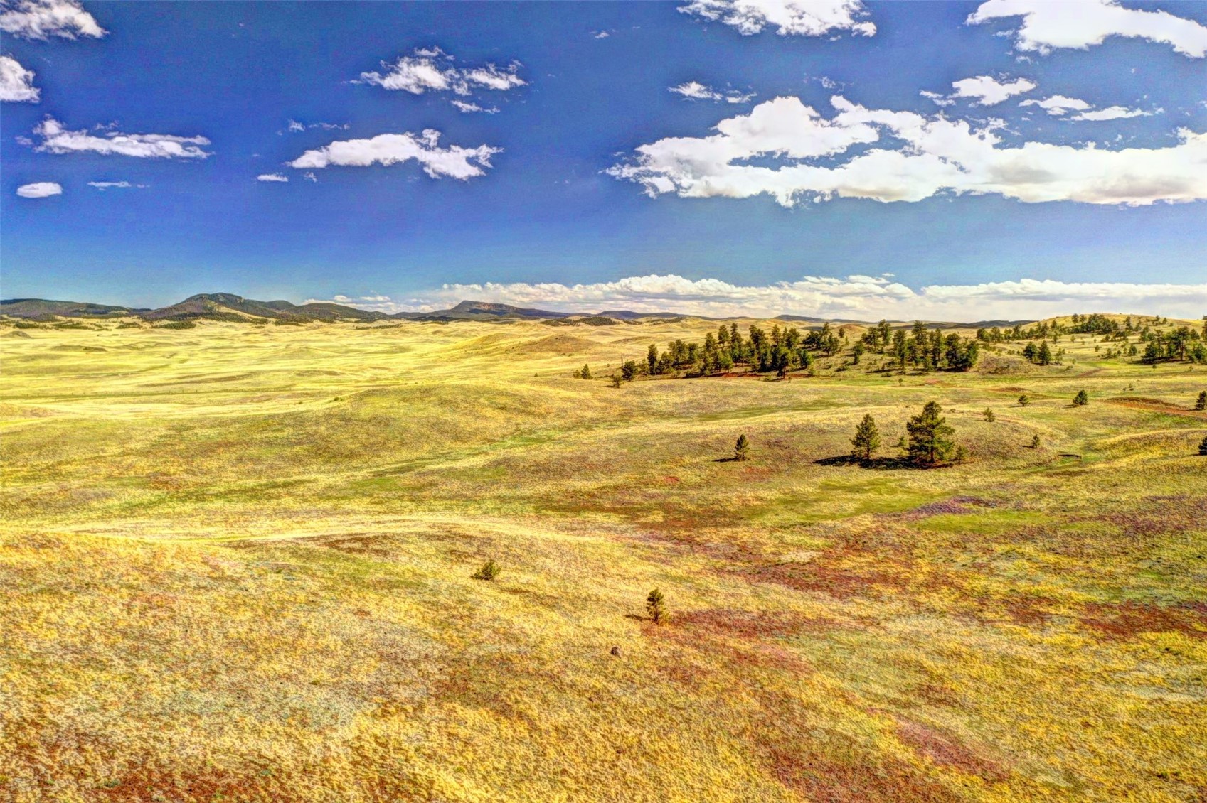 Tbd Black Beaver Road Hartsel, CO 80449 - Photo 5 of 9 Gallery Image 5