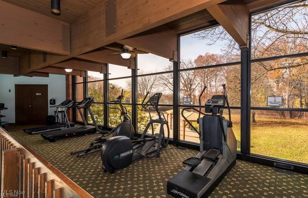 985 Canyon View Road, Unit 102B Northfield, OH 44067 - Photo 25 of 32 Clubhouse Fitness Equipment