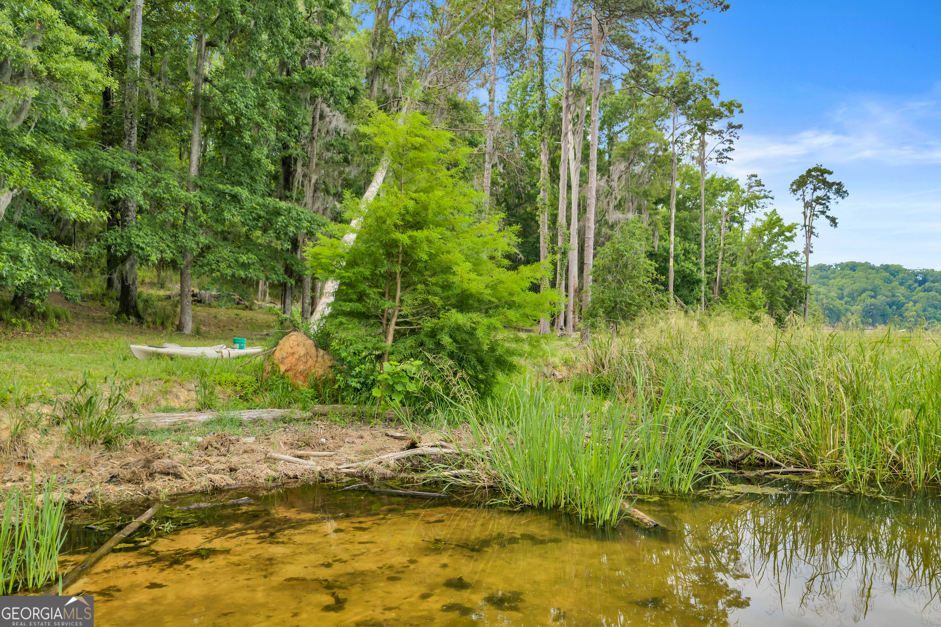 473 Vining Branch Road Georgetown, GA 39854 - Photo 42 of 43 a view of a garden