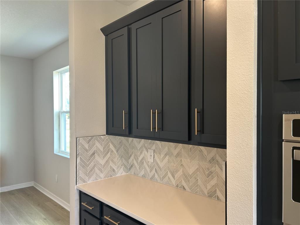 10026 Hidden Hammock Loop Parrish, FL 34221 - Photo 11 of 34