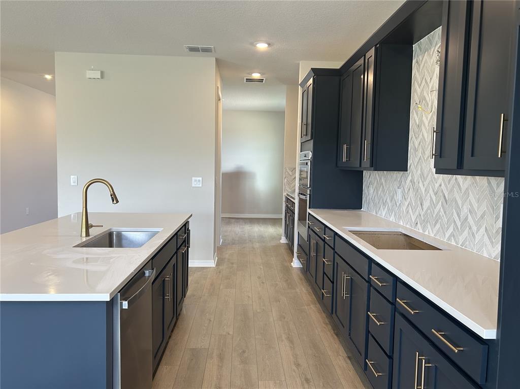 10026 Hidden Hammock Loop Parrish, FL 34221 - Photo 14 of 34 a kitchen with granite countertop a sink and a stove top oven