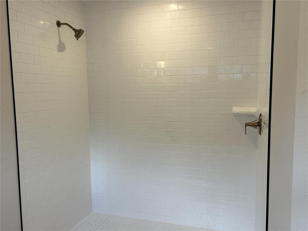 10026 Hidden Hammock Loop Parrish, FL 34221 - Photo 23 of 34 a close view of a bathroom shower