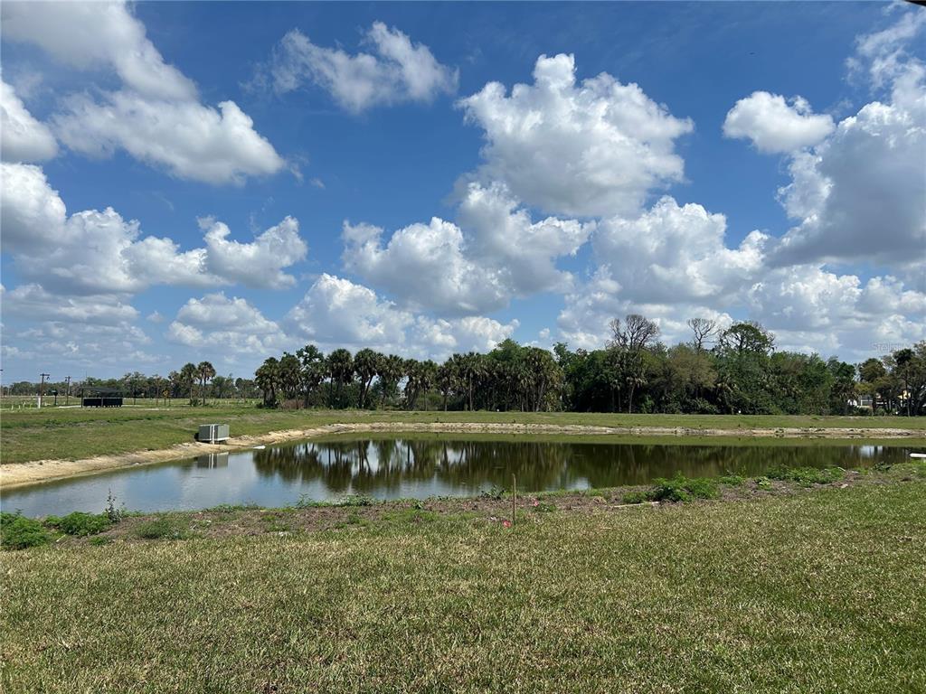 10026 Hidden Hammock Loop Parrish, FL 34221 - Photo 31 of 34 a view of a lake with houses in the back