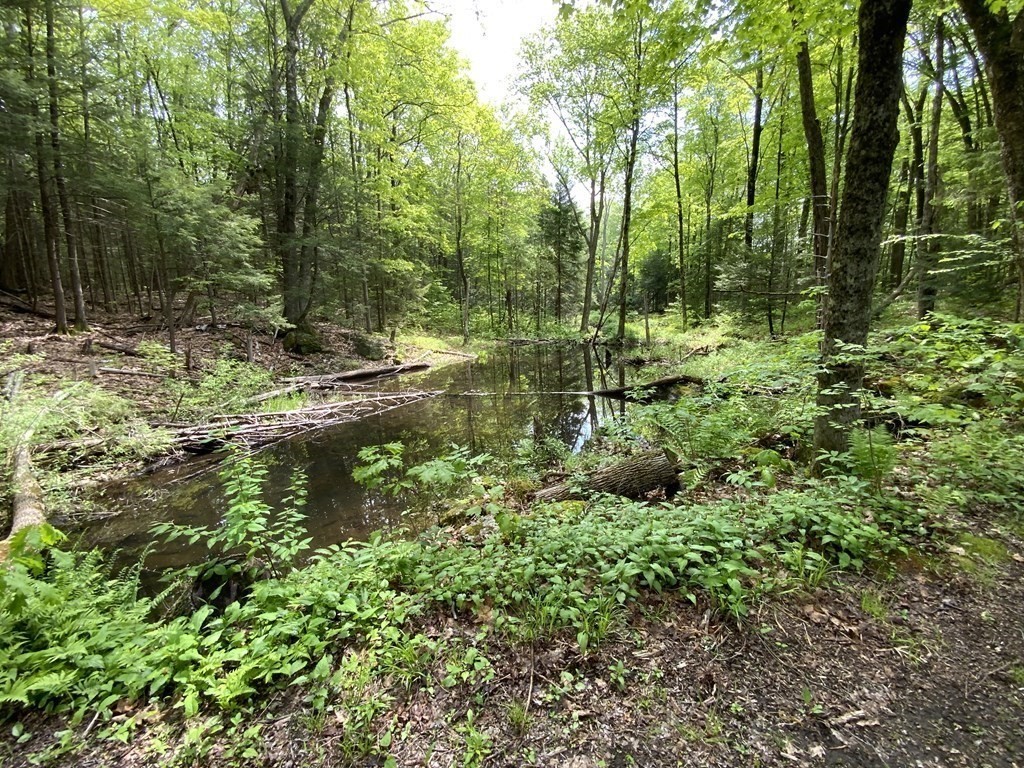 0 Fields Hill Road Conway, MA 01341 - Photo 20 of 23 Gallery Image 20