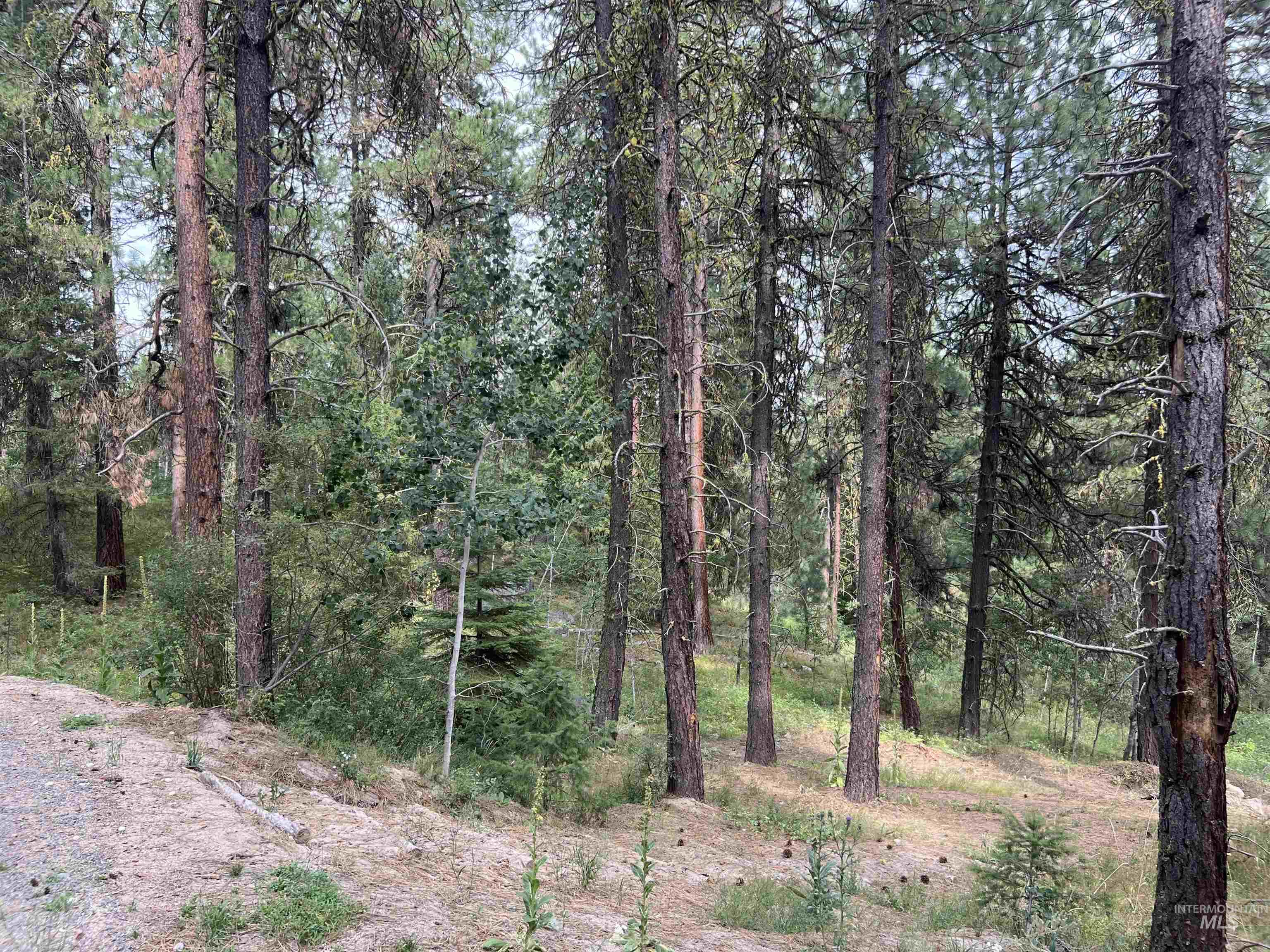 24 Ranch Circle Cascade, ID 83611 - Photo 17 of 28