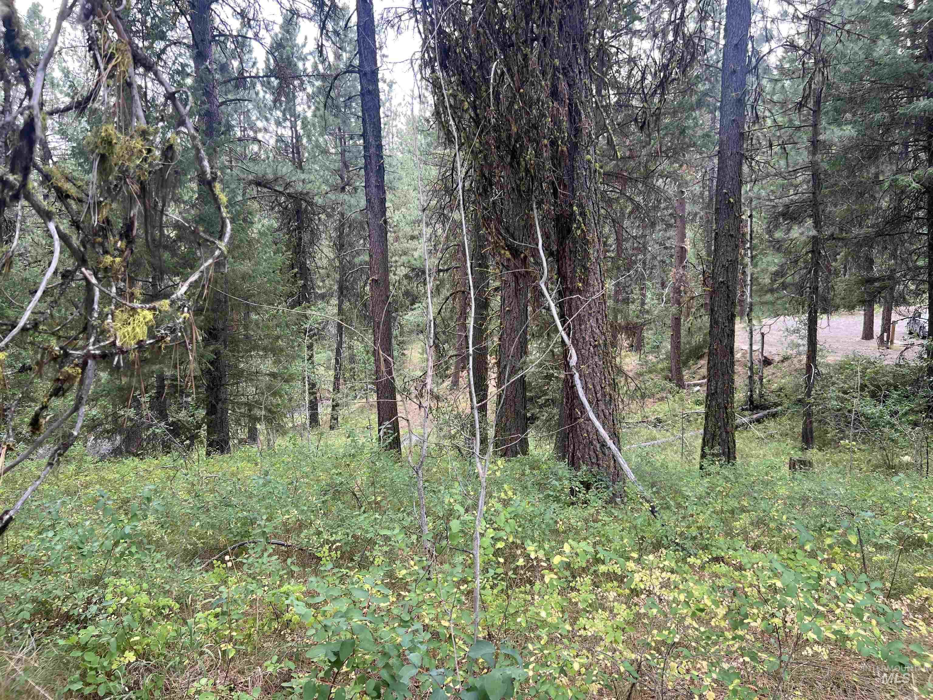 24 Ranch Circle Cascade, ID 83611 - Photo 22 of 28