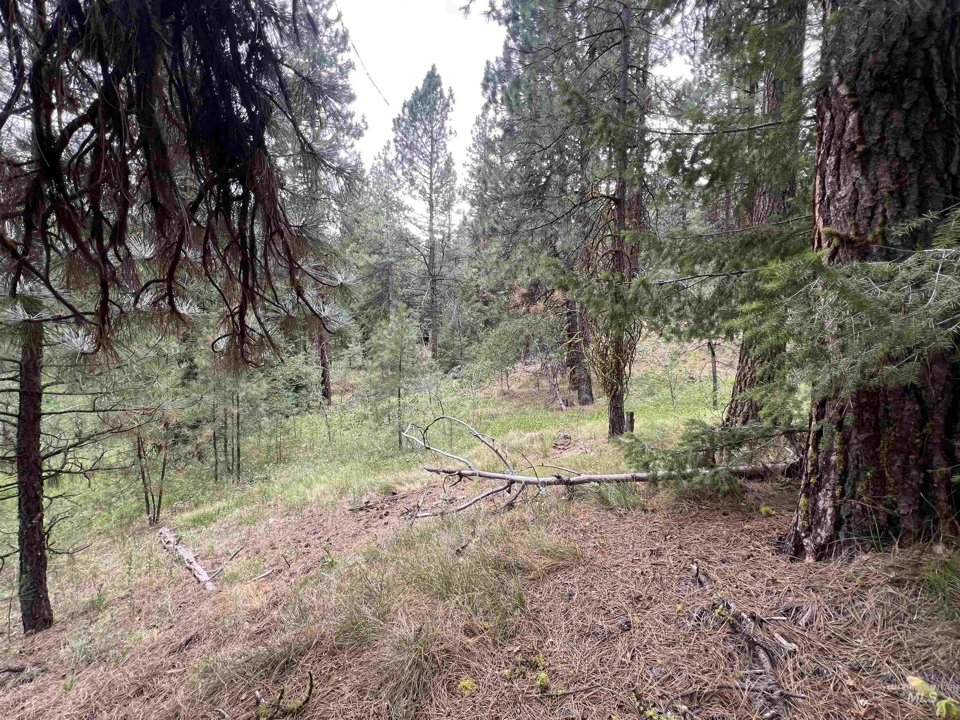 24 Ranch Circle Cascade, ID 83611 - Photo 24 of 28