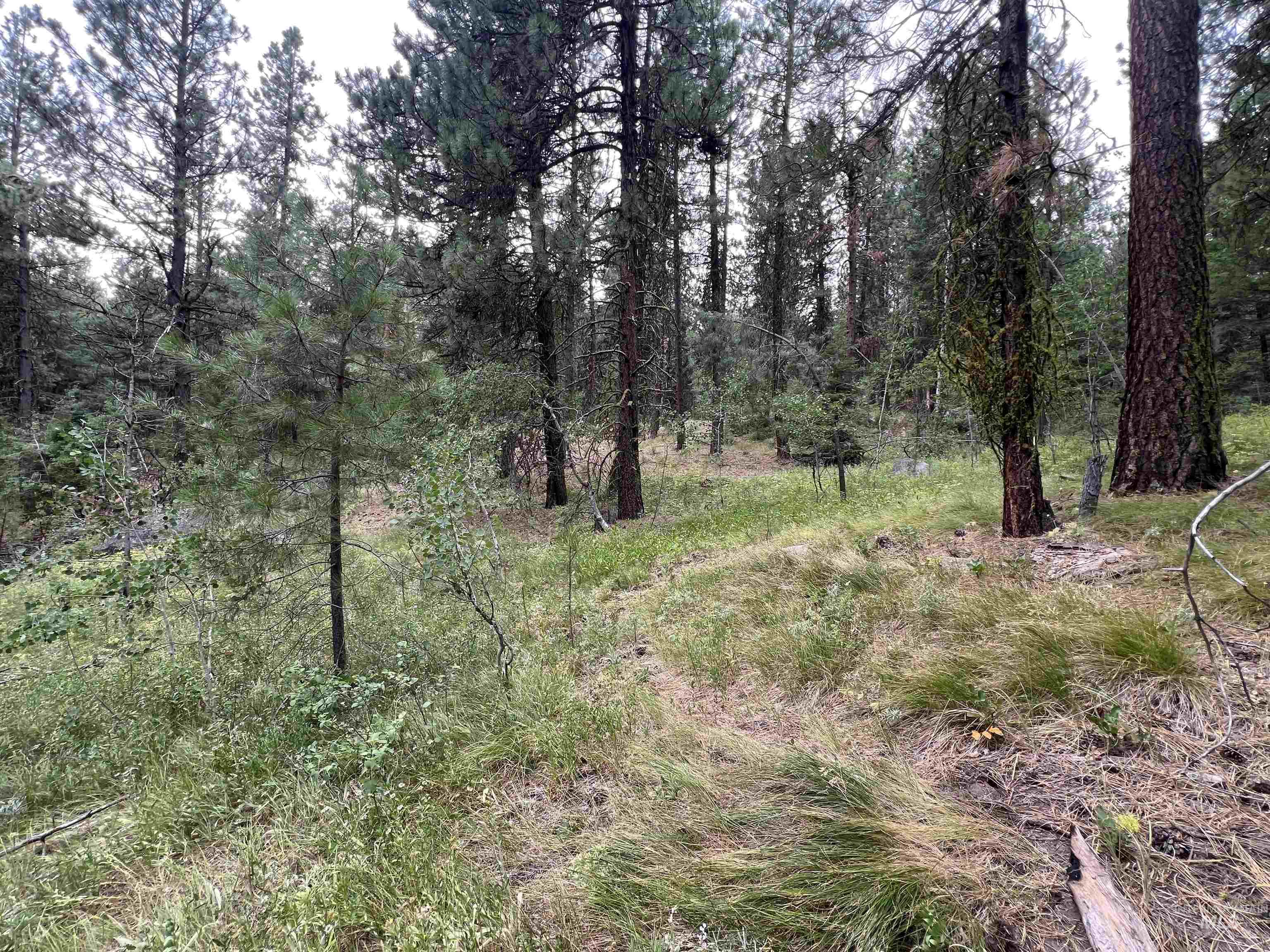 24 Ranch Circle Cascade, ID 83611 - Photo 25 of 28