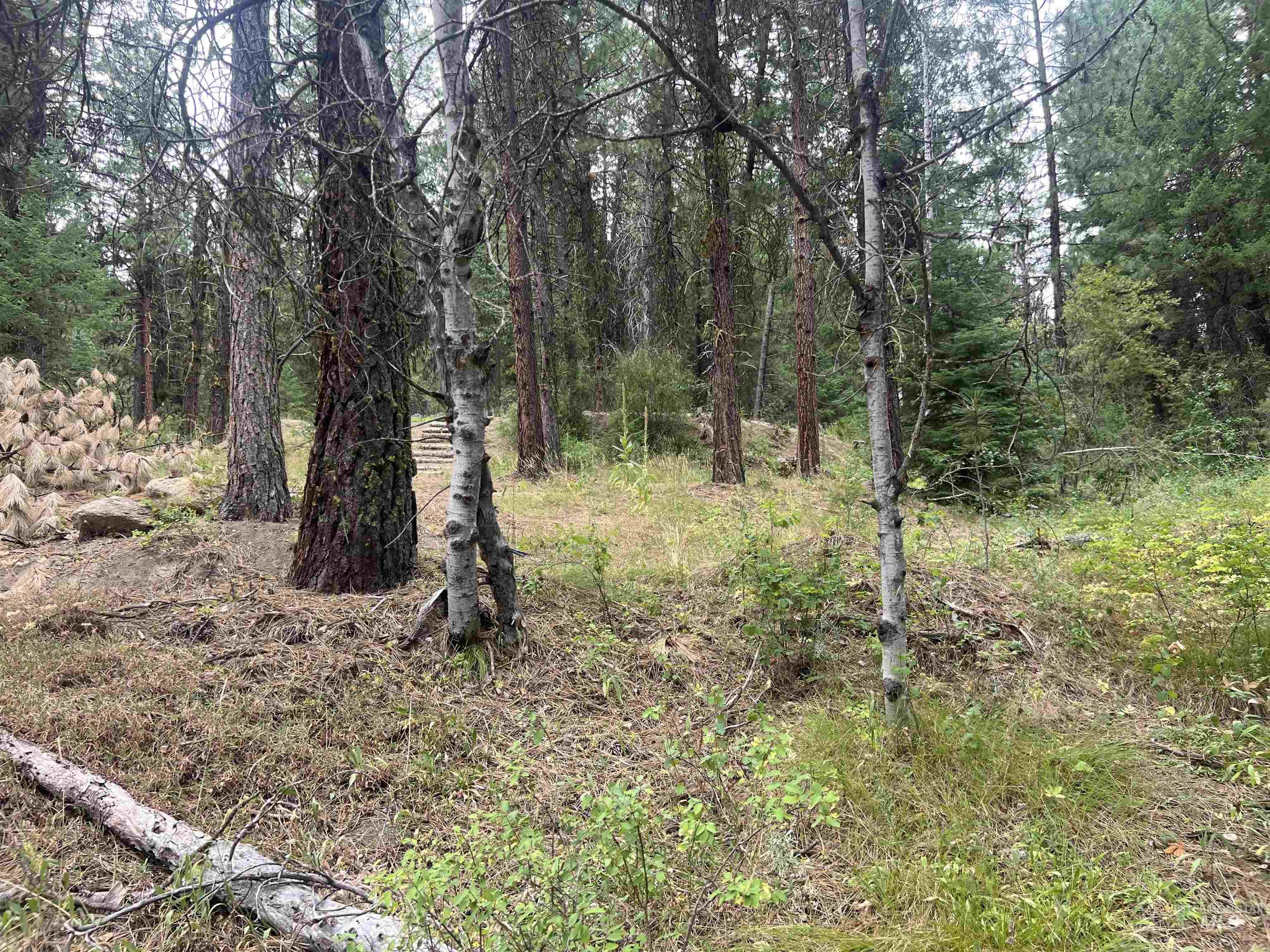 24 Ranch Circle Cascade, ID 83611 - Photo 26 of 28