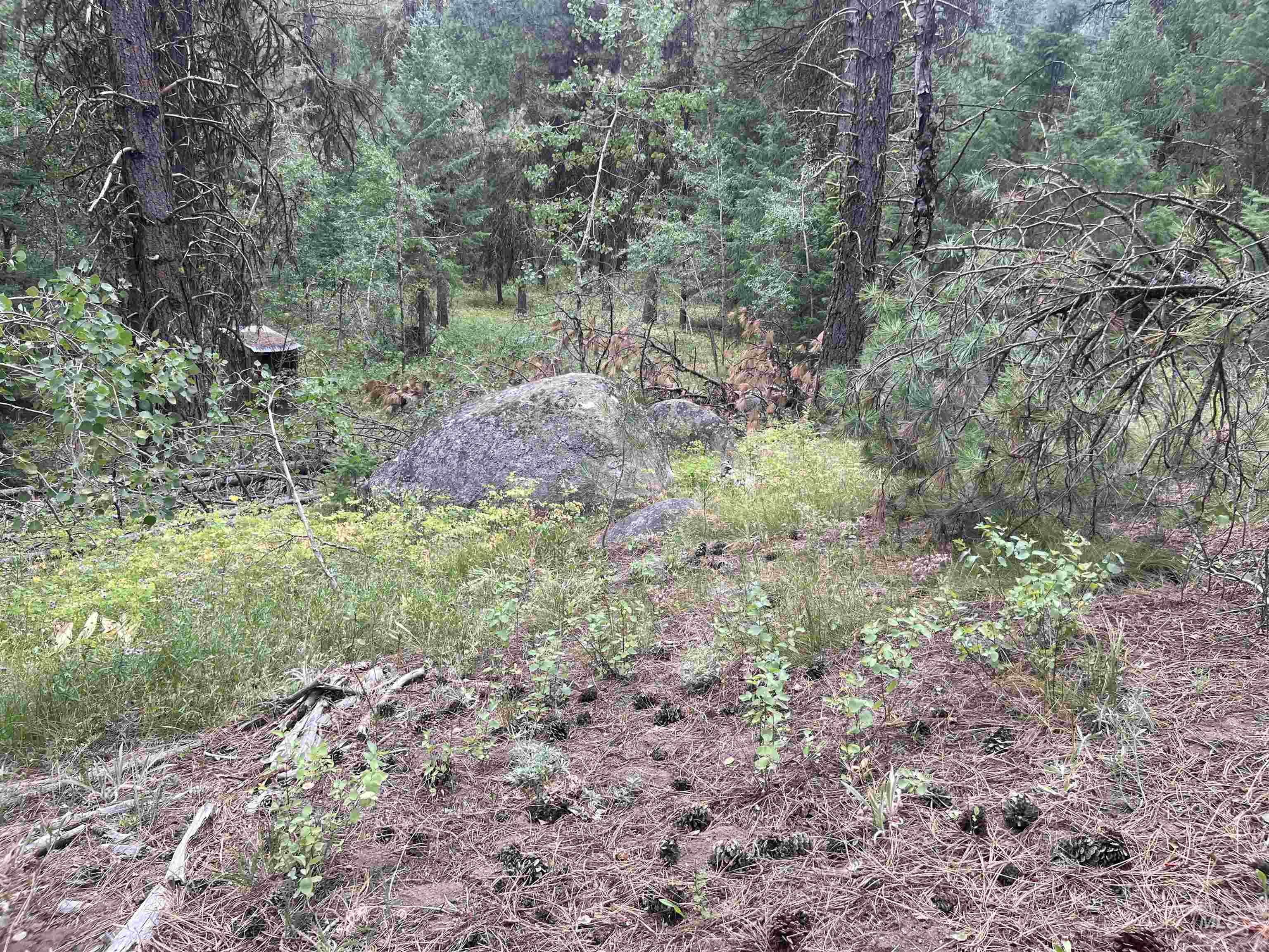 24 Ranch Circle Cascade, ID 83611 - Photo 27 of 28