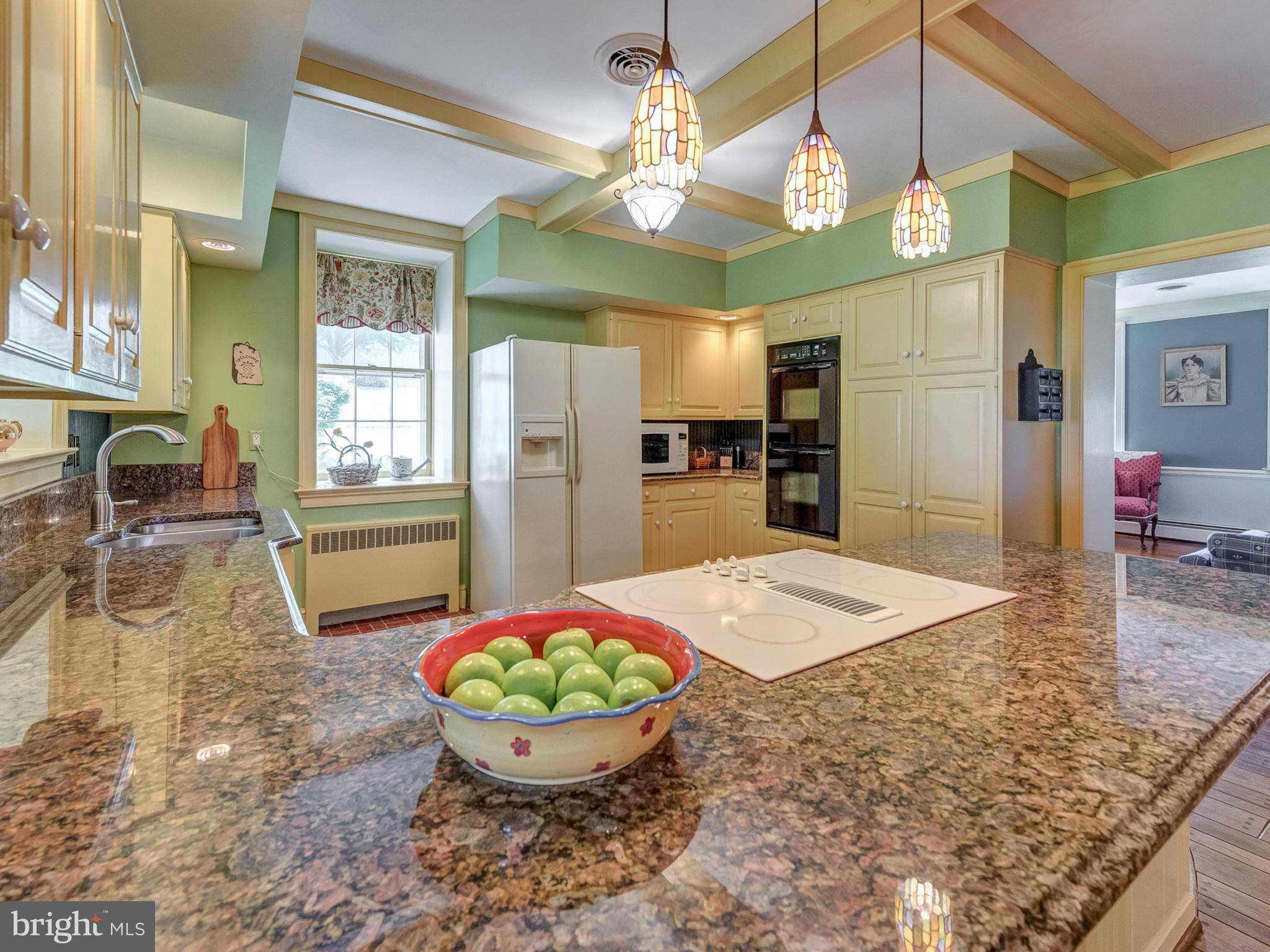 8707 Mapleville Road Boonsboro, MD 21713 - Photo 12 of 30 Plenty of space to cook family meals.