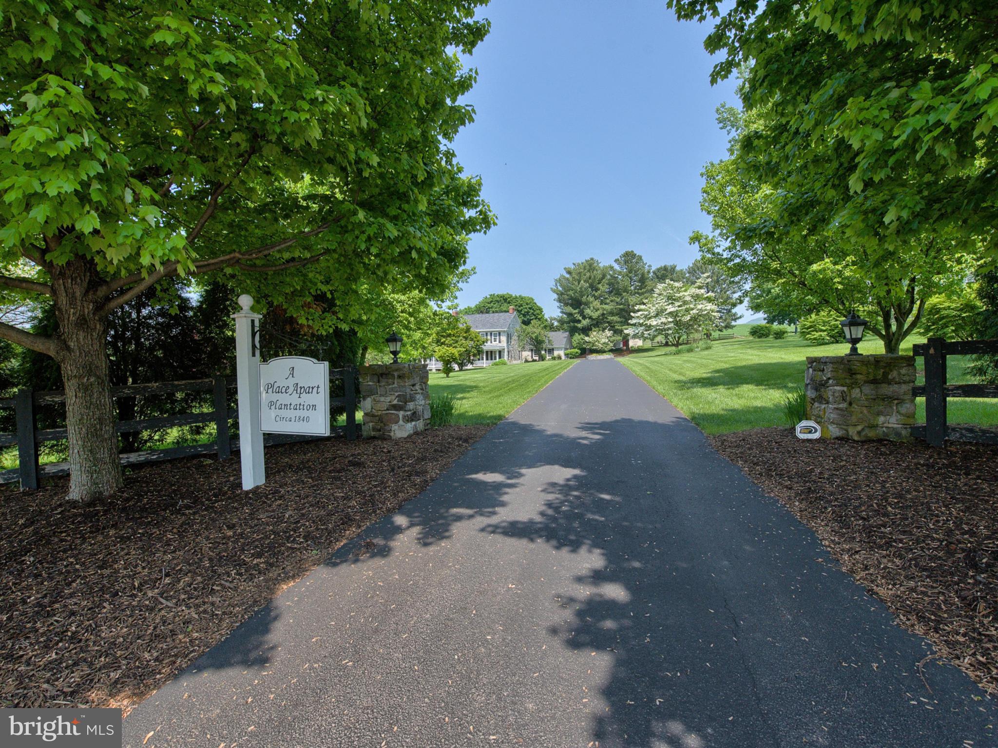 8707 Mapleville Road Boonsboro, MD 21713 - Photo 4 of 30 Magestic trees welcome you home!