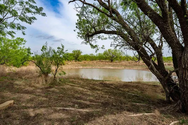a view of lake from a tree