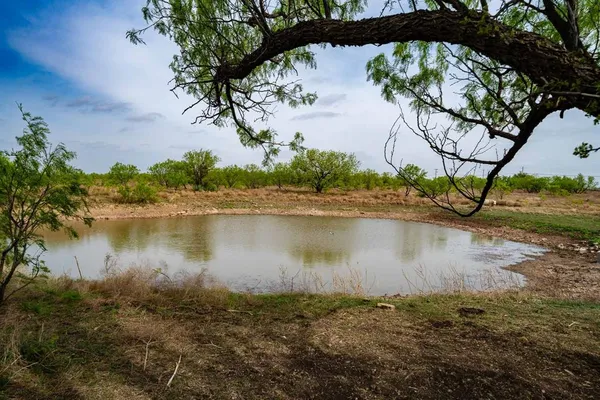 a view of a lake with a tree next to a yard