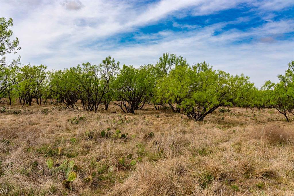 Tbd Rockdale Road Lueders, TX 79533 - Photo 14 of 40 a view of a yard