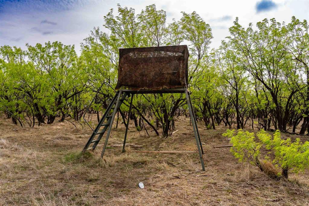 Tbd Rockdale Road Lueders, TX 79533 - Photo 16 of 40 a view of a park with trees