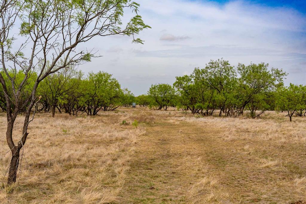 Tbd Rockdale Road Lueders, TX 79533 - Photo 17 of 40 a view of a yard with an trees