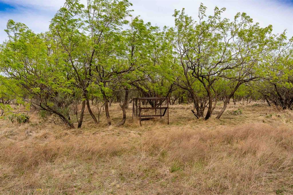 Tbd Rockdale Road Lueders, TX 79533 - Photo 18 of 40 a backyard of a house with table and chairs